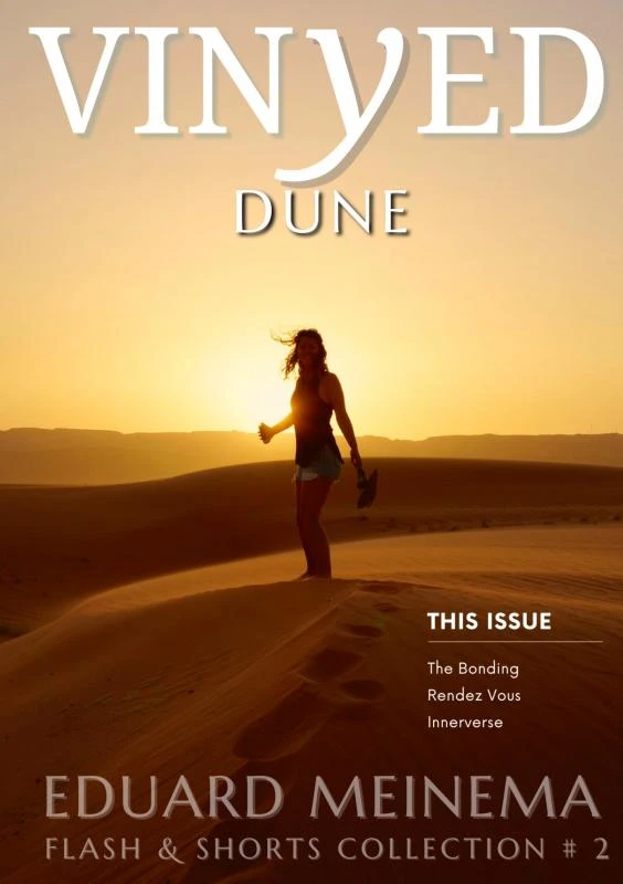 Dune – Eduard Meinema – boek cover