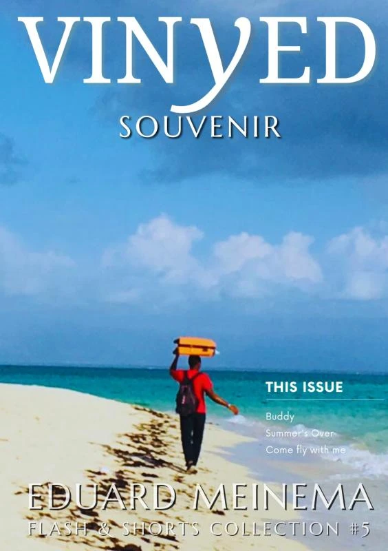 Souvenir – Eduard Meinema – boek cover