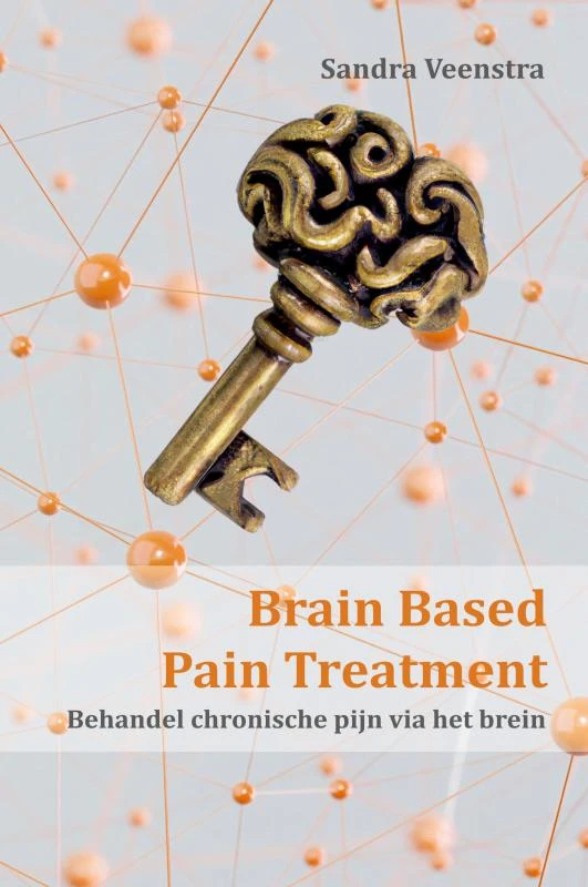 Brain Based Pain Treatment – Sandra Veenstra – boek cover