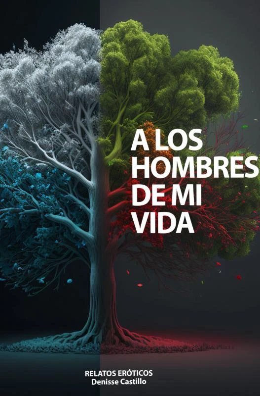 A los hombres de mi vida – Denisse castillo – boek cover