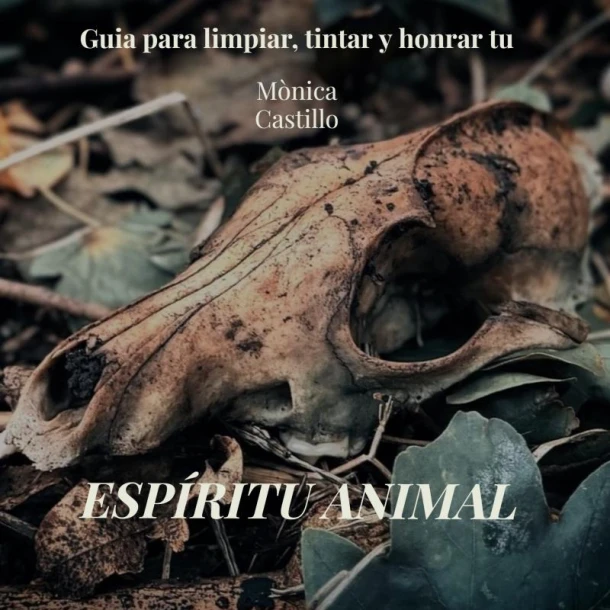 Espíritu Animal – Monica Castillo – boek cover