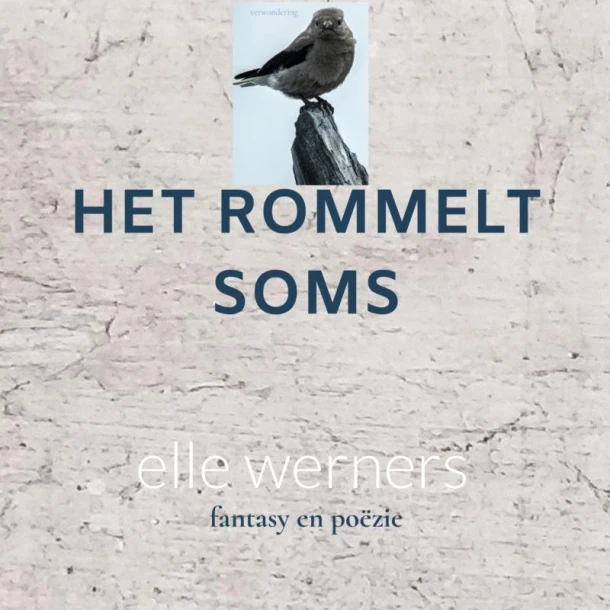 HET ROMMELT SOMS – Elle Werners – boek cover