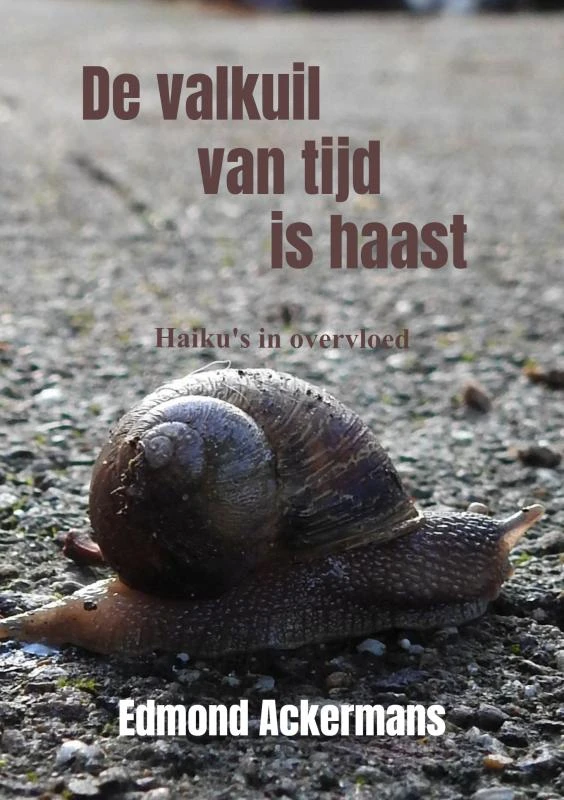 De valkuil van tijd is haast – Edmond Ackermans – boek cover