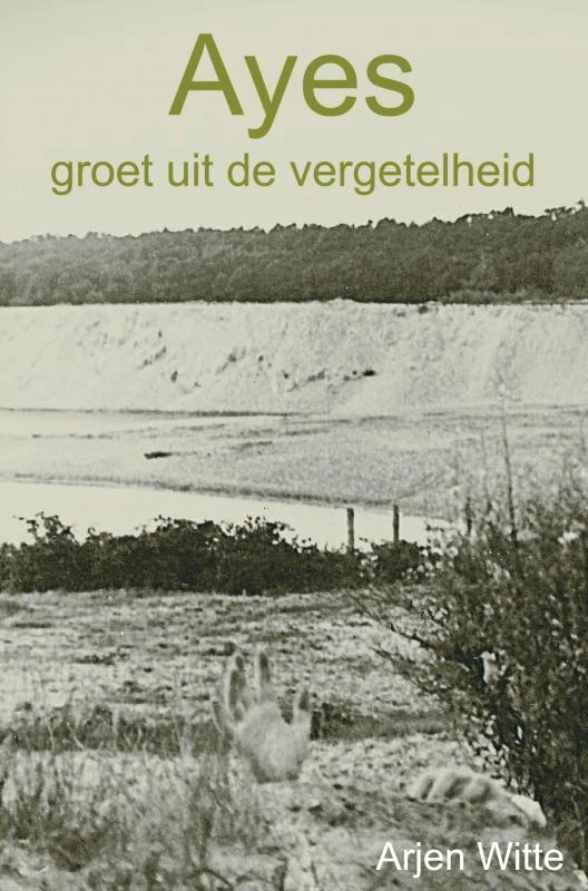 Ayes groet uit de vergetelheid – Arjen Witte – boek cover