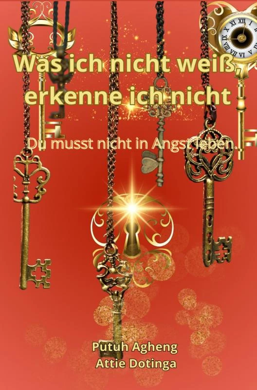 Was ich nicht weiß, erkenne ich nicht. – Attie Dotinga – boek cover