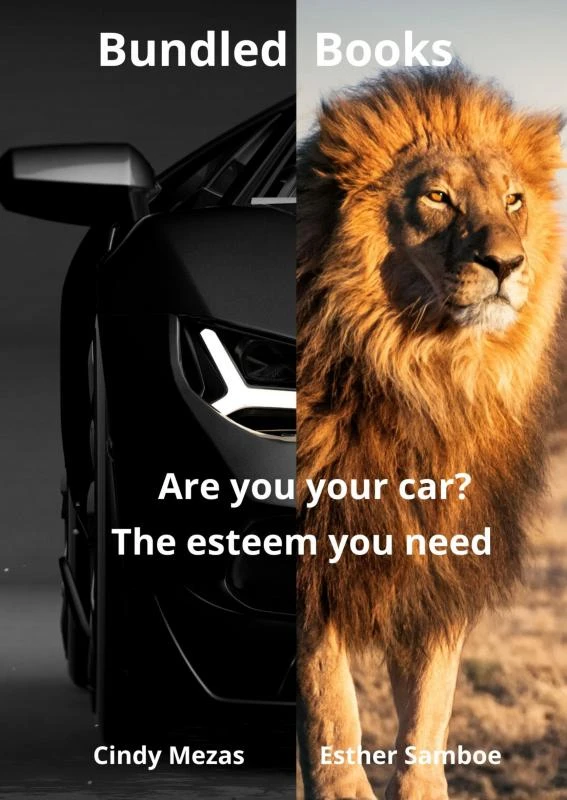 Bundled Books: Are You Your Car? | The Esteem You Need – Cindy Mezas Esther Samboe – boek cover