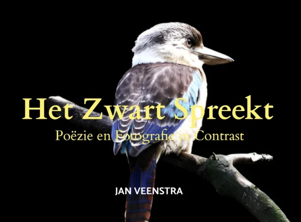 Het Zwart Spreekt – Jan Veenstra – boek cover