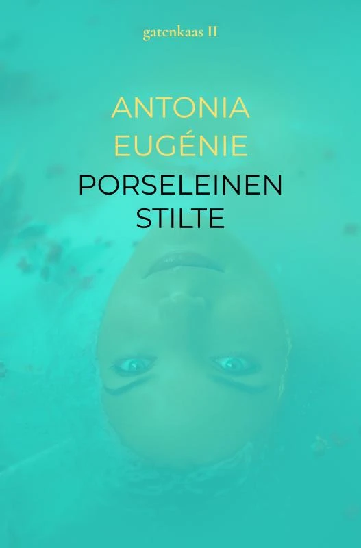 PORSELEINEN STILTE – ANTONIA EUGÉNIE – boek cover