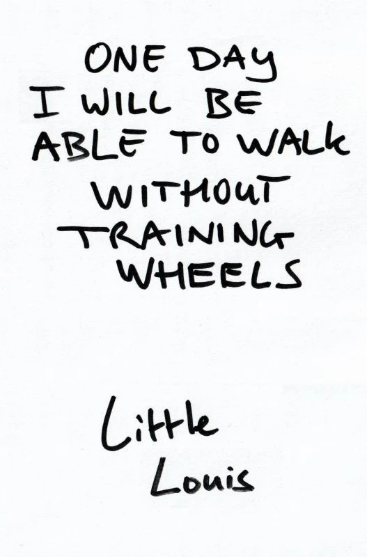One Day I Will Be Able To Walk Without Training Wheels – Louis Van Empel – boek cover