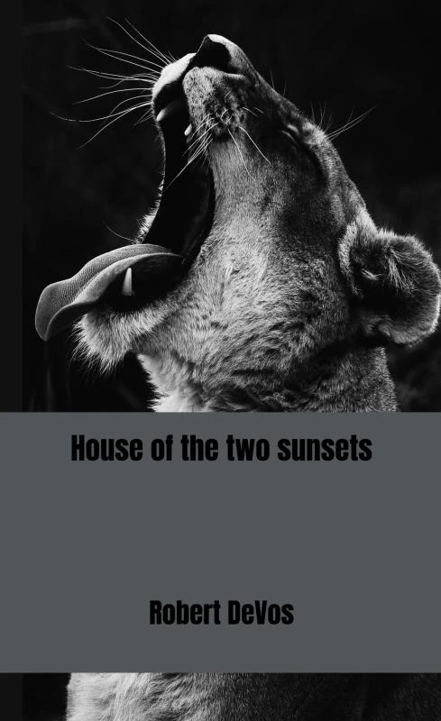 House of the two sunsets – Robert DeVos – boek cover