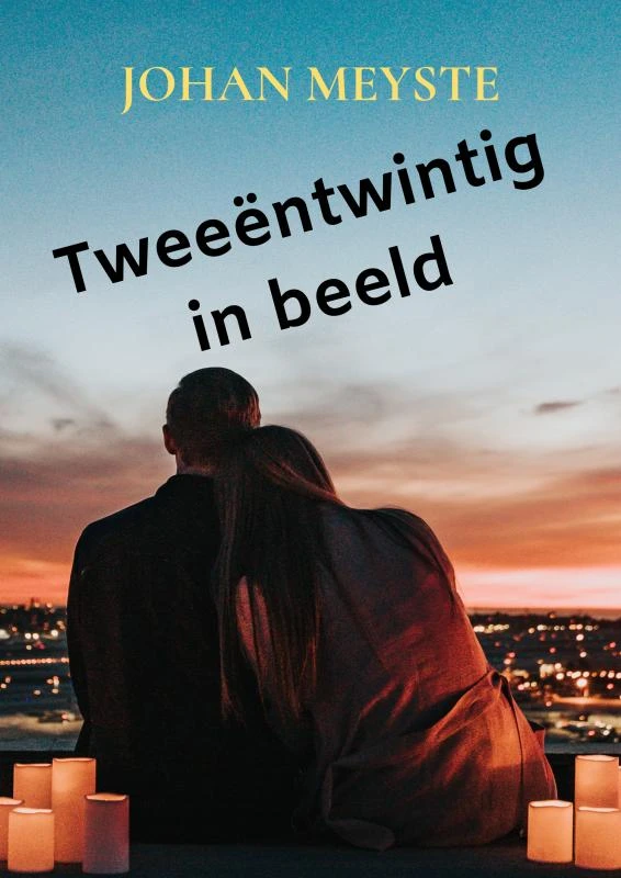 Tweeëntwintig in beeld – Johan Meyste – boek cover