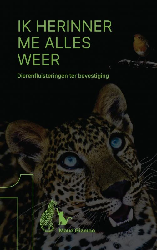Ik herinner me alles weer – Maud Gizmoo – boek cover