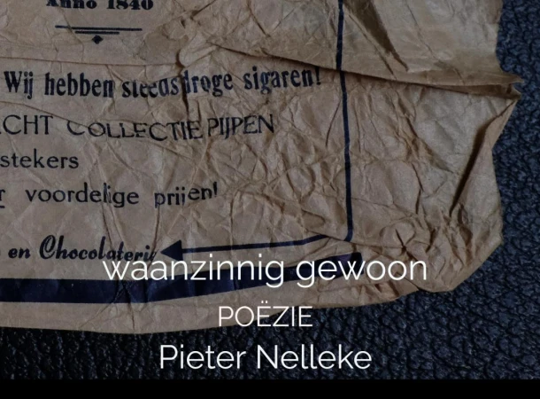 waanzinnig gewoon – Pieter Nelleke – boek cover