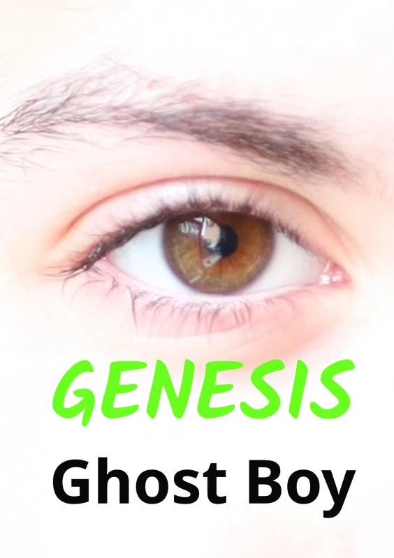 Genesis – Ghost Boy – boek cover