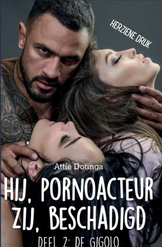 Hij pornoacteur. Zij beschadigd. – Attie Dotinga – boek cover