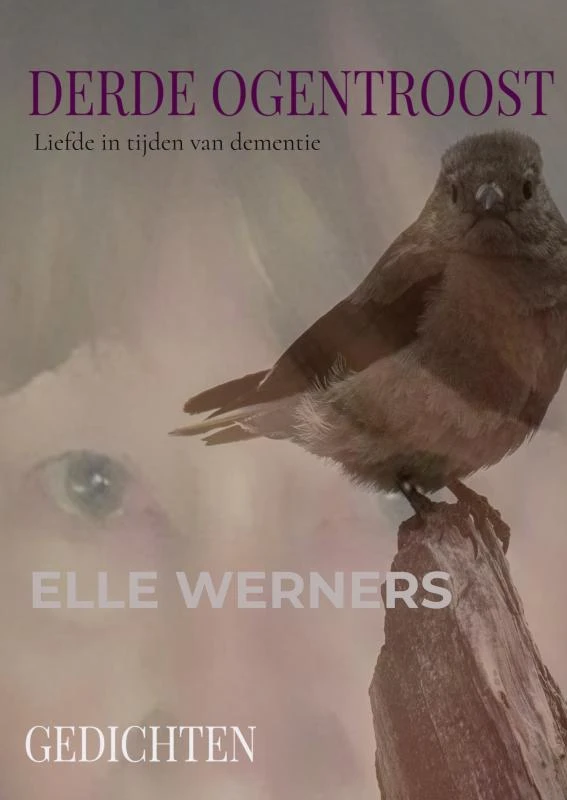 DERDE OGENTROOST – boek cover