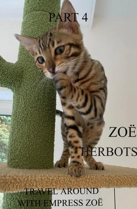 TRAVEL AROUND WITH EMPRESS ZOË – Zoë Herbots – boek cover