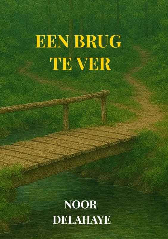 EEN BRUG TE VER – Noor Delahaye – boek cover