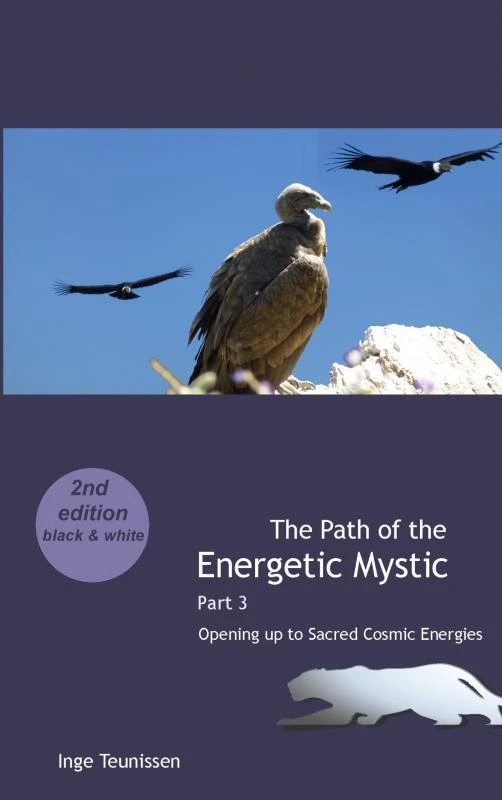The Path of the Energetic Mystic – Inge Teunissen – boek cover