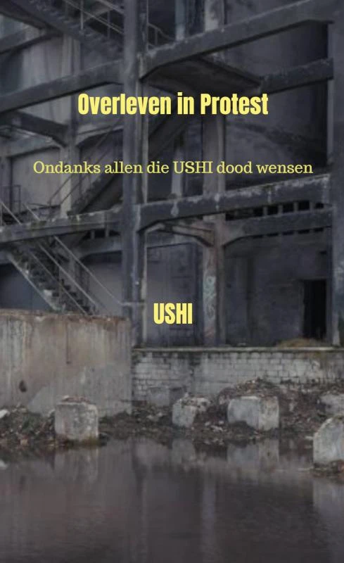 Overleven in Protest – Akin Artists – boek cover