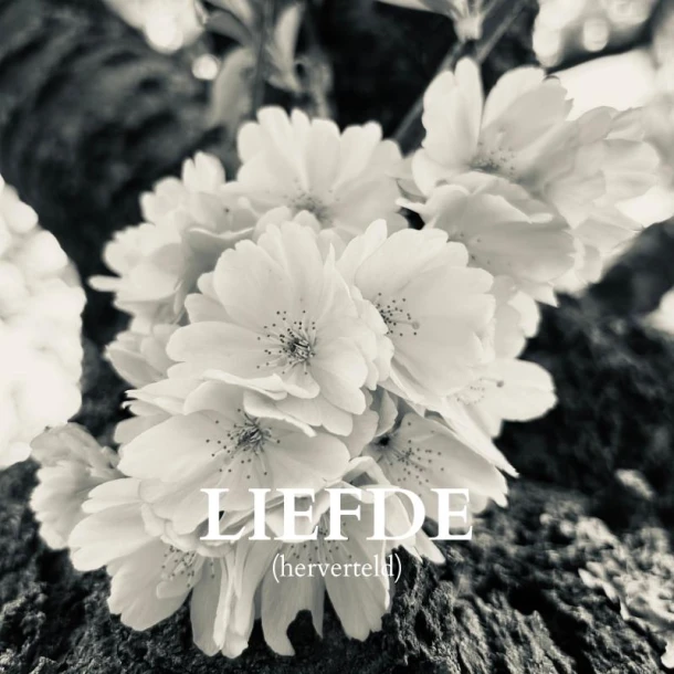 Liefde – Noah Bodhi – boek cover