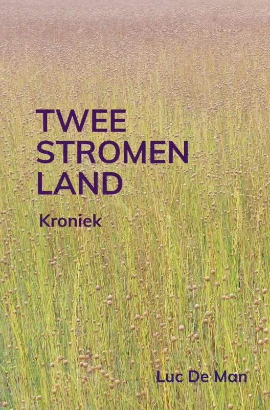 Tweestromenland – Luc De Man – boek cover