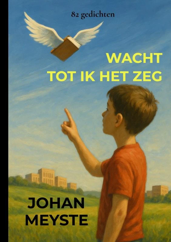 Wacht tot ik het zeg – Johan Meyste – boek cover