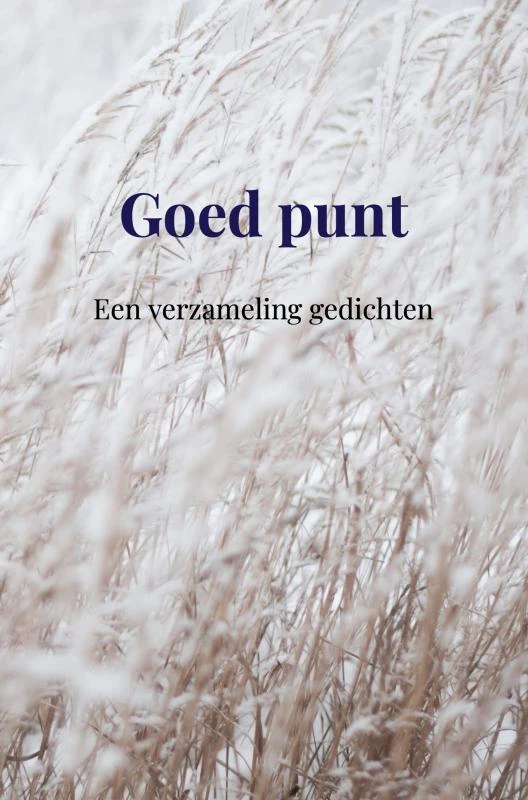 Goed punt – Anna De Rijk – boek cover