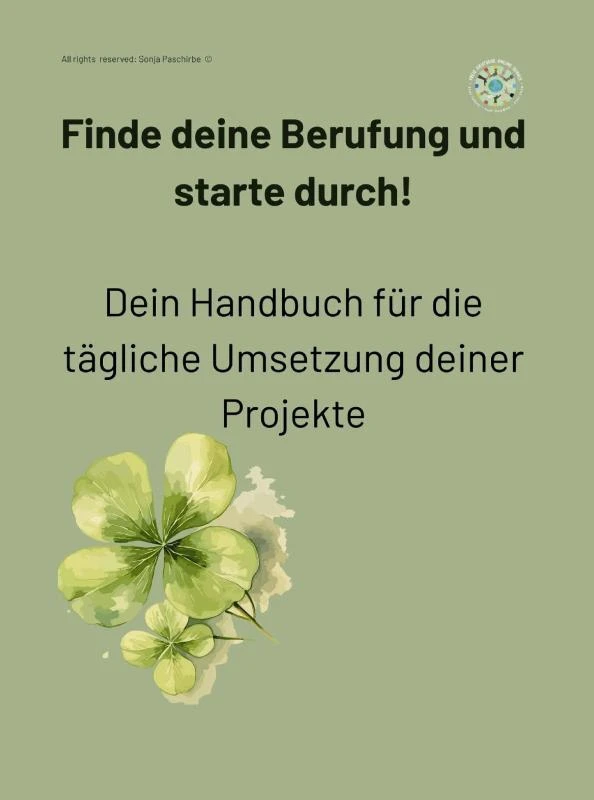 Finde deine Berufung und starte durch! – Sonja Paschirbe – boek cover