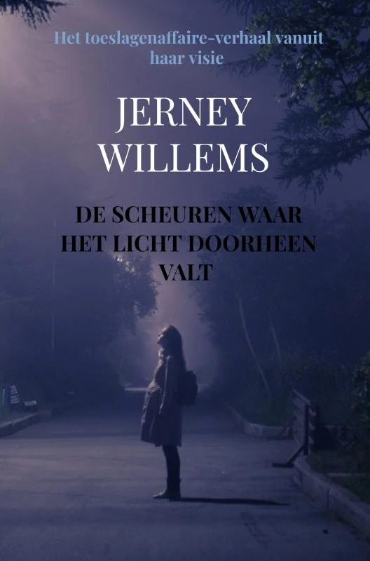 De scheuren waar het licht doorheen valt – Jerney Willems – boek cover