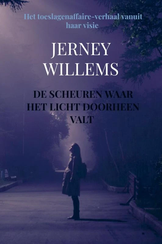 De scheuren waar het licht doorheen valt – Jerney Willems – boek cover