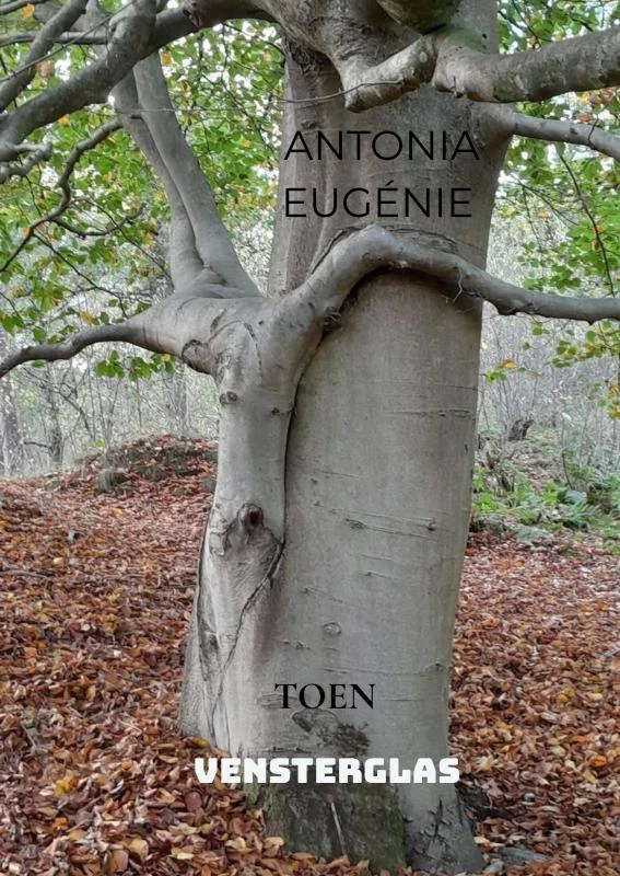 VENSTERGLAS – boek cover