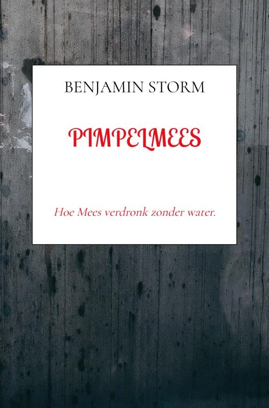Pimpelmees – Benjamin Storm – boek cover