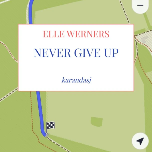 NEVER GIVE UP – boek cover