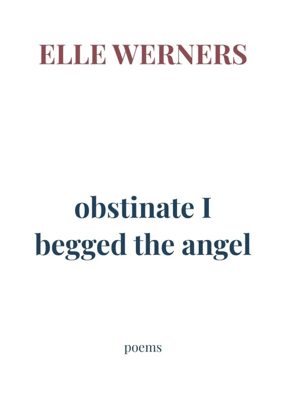obstinate I begged the angel – boek cover