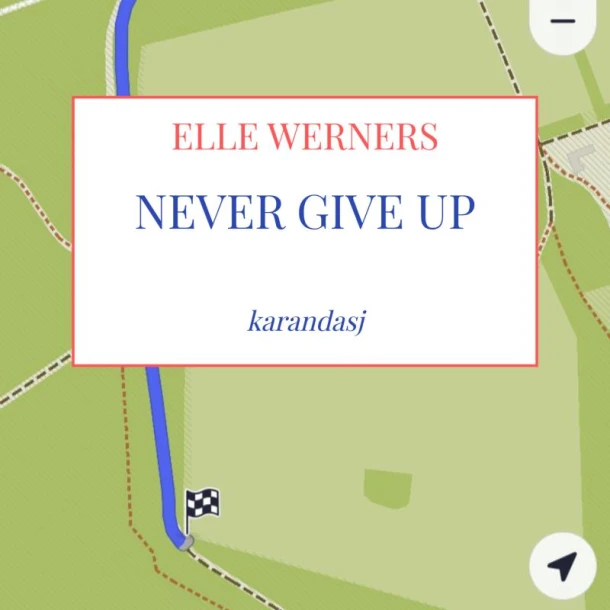 NEVER GIVE UP – boek cover