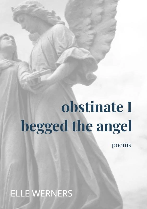 obstinate I begged the angel – boek cover