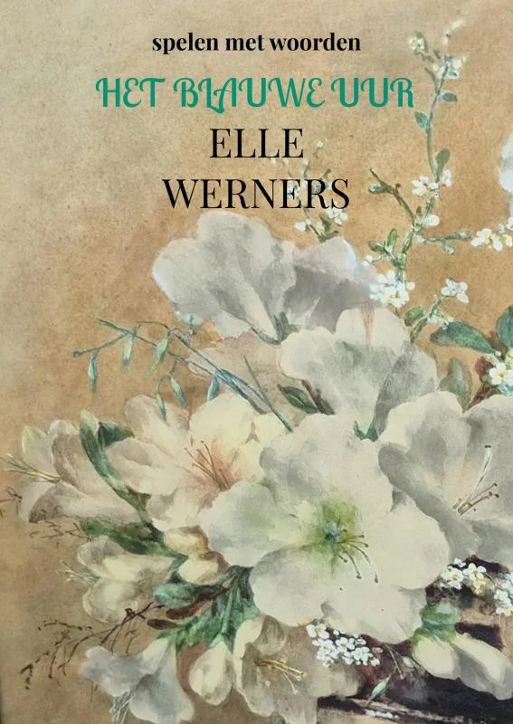 HET BLAUWE UUR – boek cover