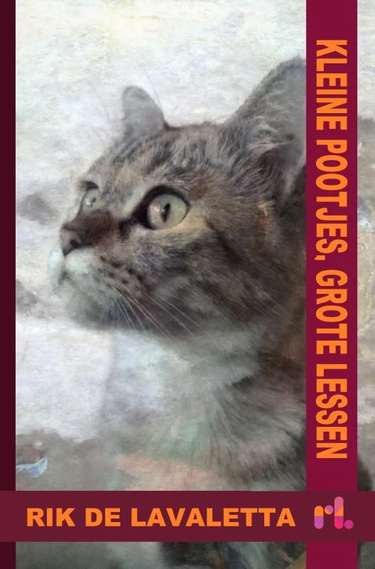 Kleine pootjes, grote lessen – Rik De Lavaletta – boek cover
