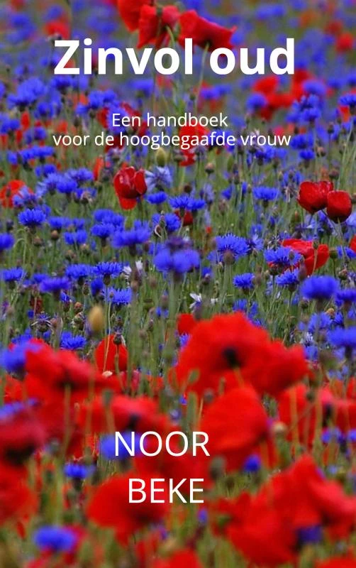 Zinvol oud – Noor Beke – boek cover
