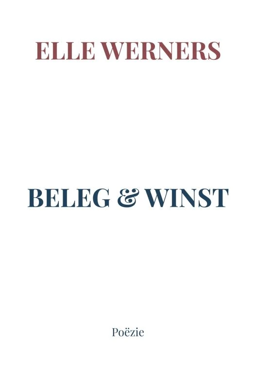 BELEG & WINST – boek cover