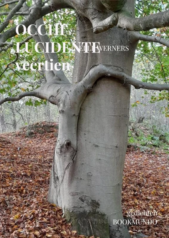 OCCHI LUCIDENTE – boek cover