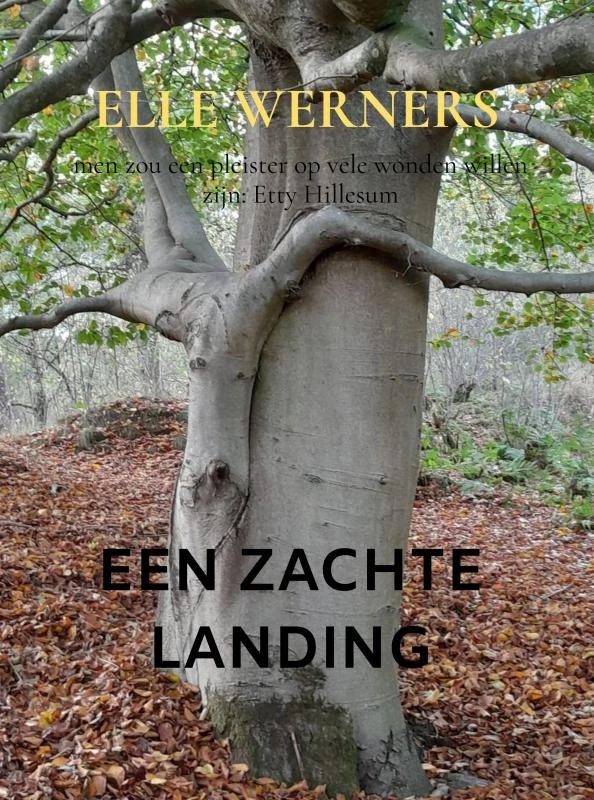 EEN ZACHTE LANDING – boek cover