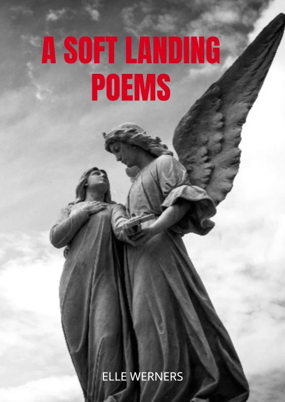 A SOFT LANDING – boek cover