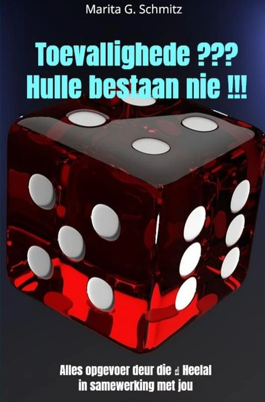 Toevallighede ??? Hulle bestaan nie !!! – Marita G. Schmitz – boek cover