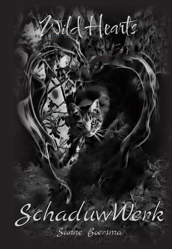 SchaduwWerk – Sanne Boersma – boek cover