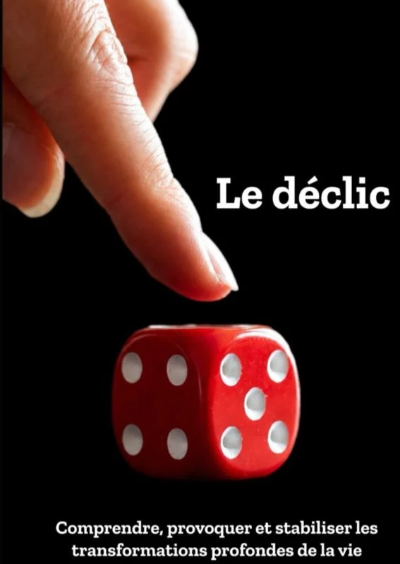 Le déclic – ¿¿¿¿¿¿¿¿ ¿¿¿¿ – boek cover