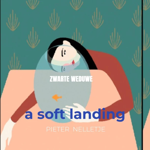 a soft landing – Pieter Nelletje – boek cover