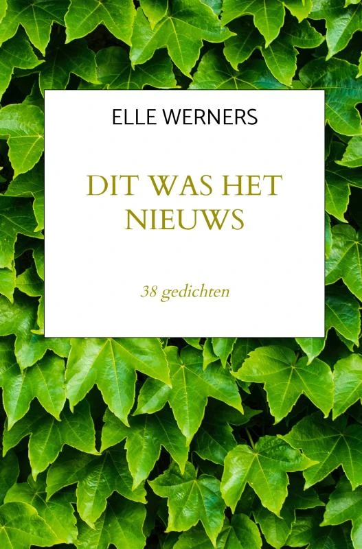 DIT WAS HET NIEUWS – boek cover