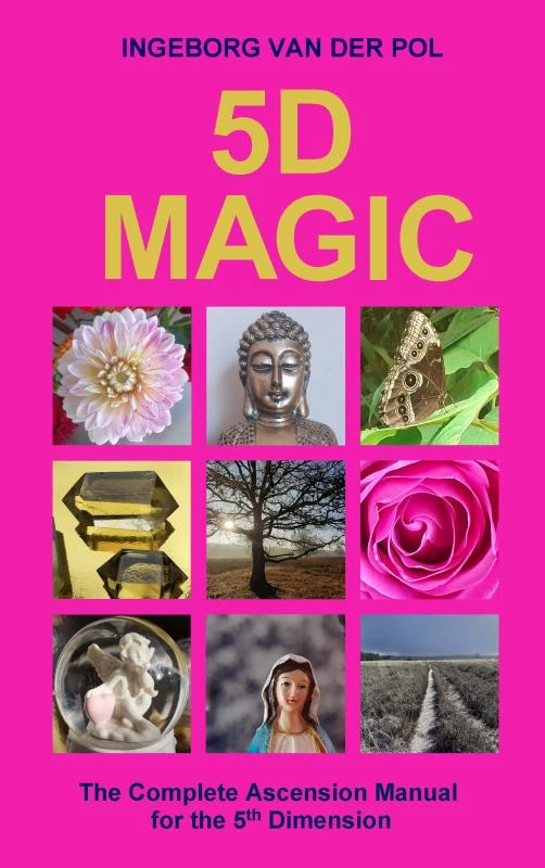 5D MAGIC – Ingeborg van der Pol – boek cover